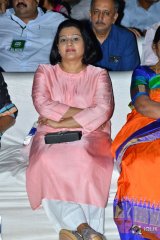 Naa Peru Surya Naa Illu India Pre Release Event Photos